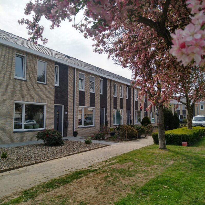 Buro SRO - Nieuws - Ook de Bloemenbuurt komt in bloei!