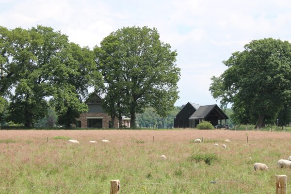 Buro SRO - Projecten - Hardenberg - De Groote Scheere