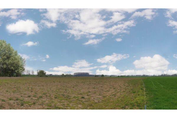 Buro SRO - Projecten - Alem - Landschapsplan Maasuiterwaarden